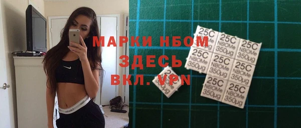 шишки Вяземский