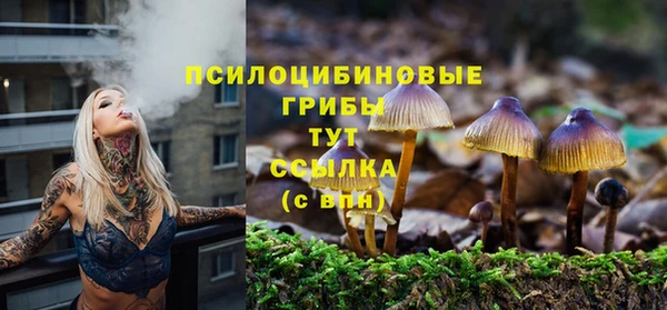 шишки Вяземский